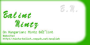 balint mintz business card